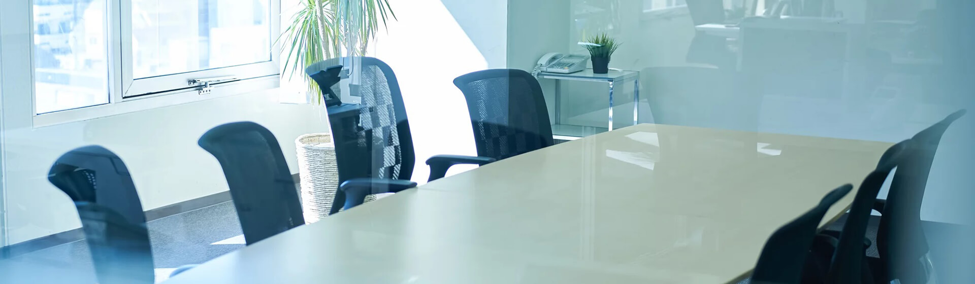 BUSINESS 事業内容
